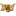 Link IDN